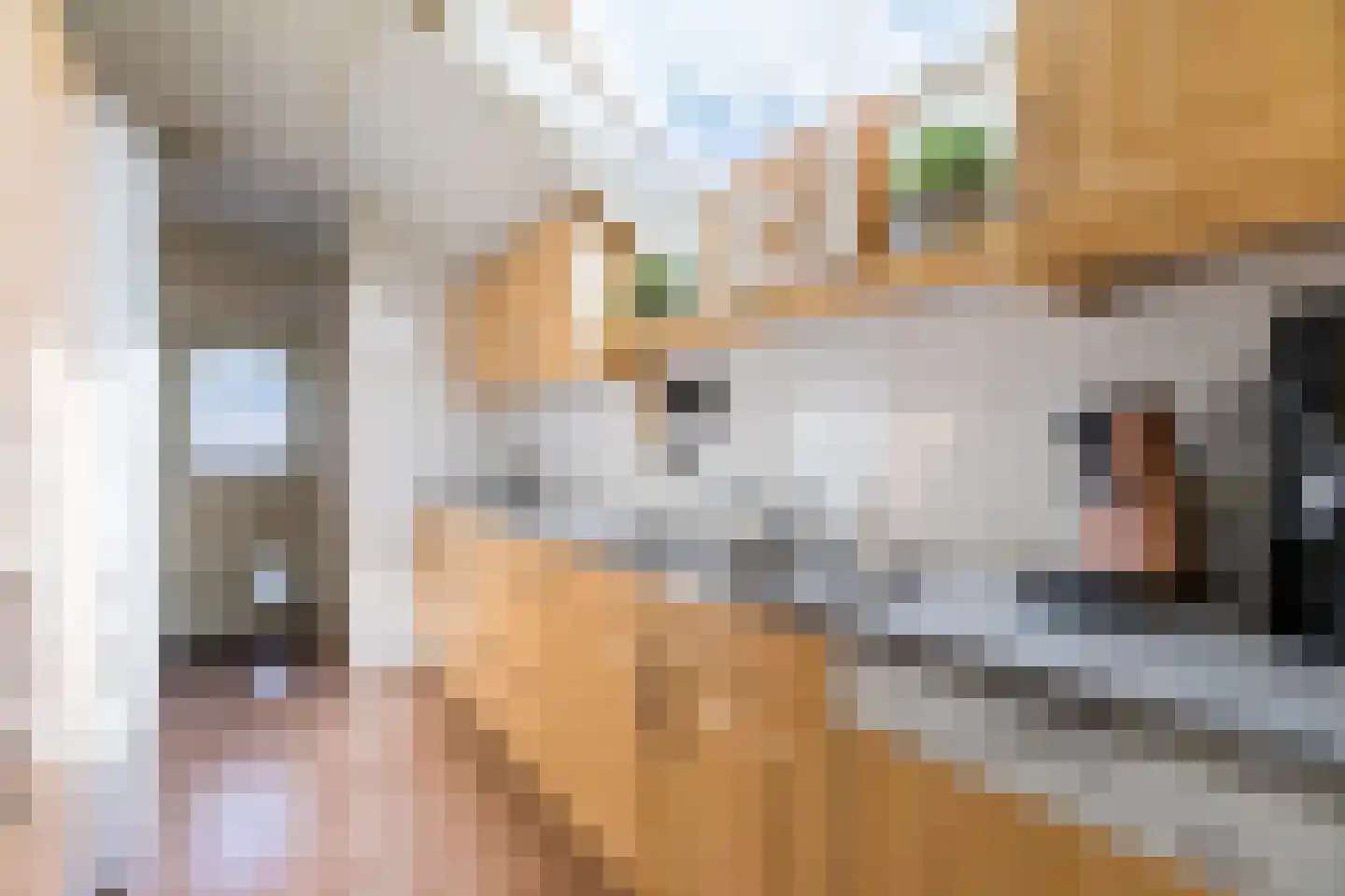 Nieuwe Kerkstraat 36 Nijkerkerveen thumbnail 8