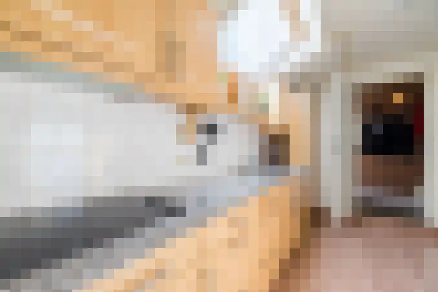 Nieuwe Kerkstraat 36 Nijkerkerveen thumbnail 9