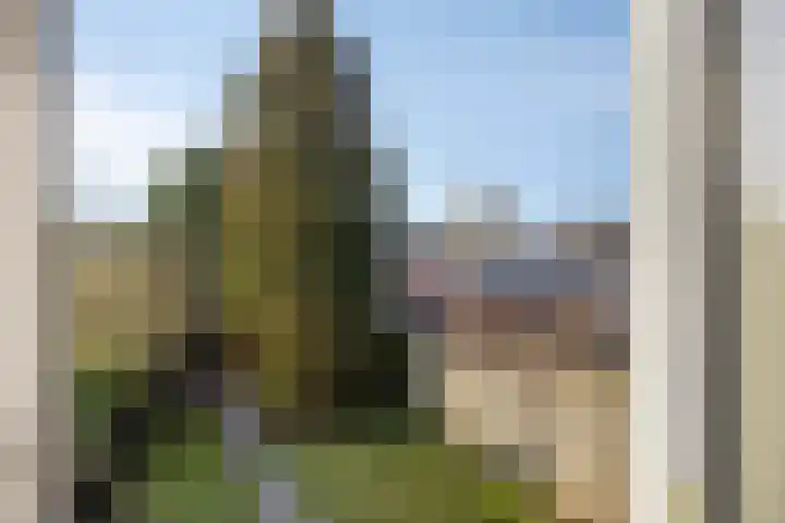 Nieuwe Kerkstraat 38 Etten-Leur thumbnail 22