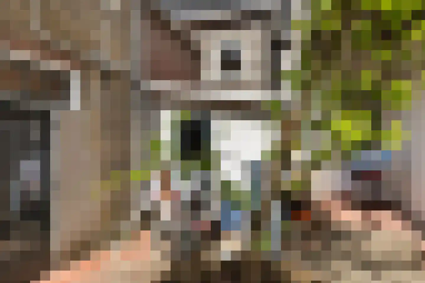 Nieuwe Kerkstraat 4 Maassluis thumbnail 23