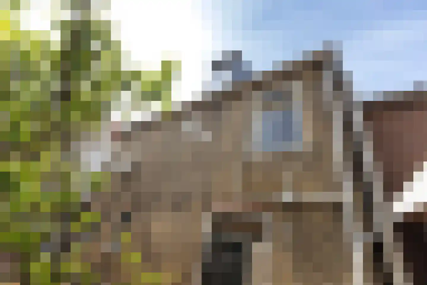 Nieuwe Kerkstraat 4 Maassluis thumbnail 25