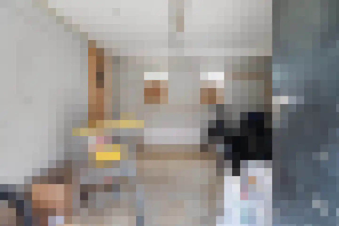 Nieuwe Kerkstraat 4 Maassluis thumbnail 28