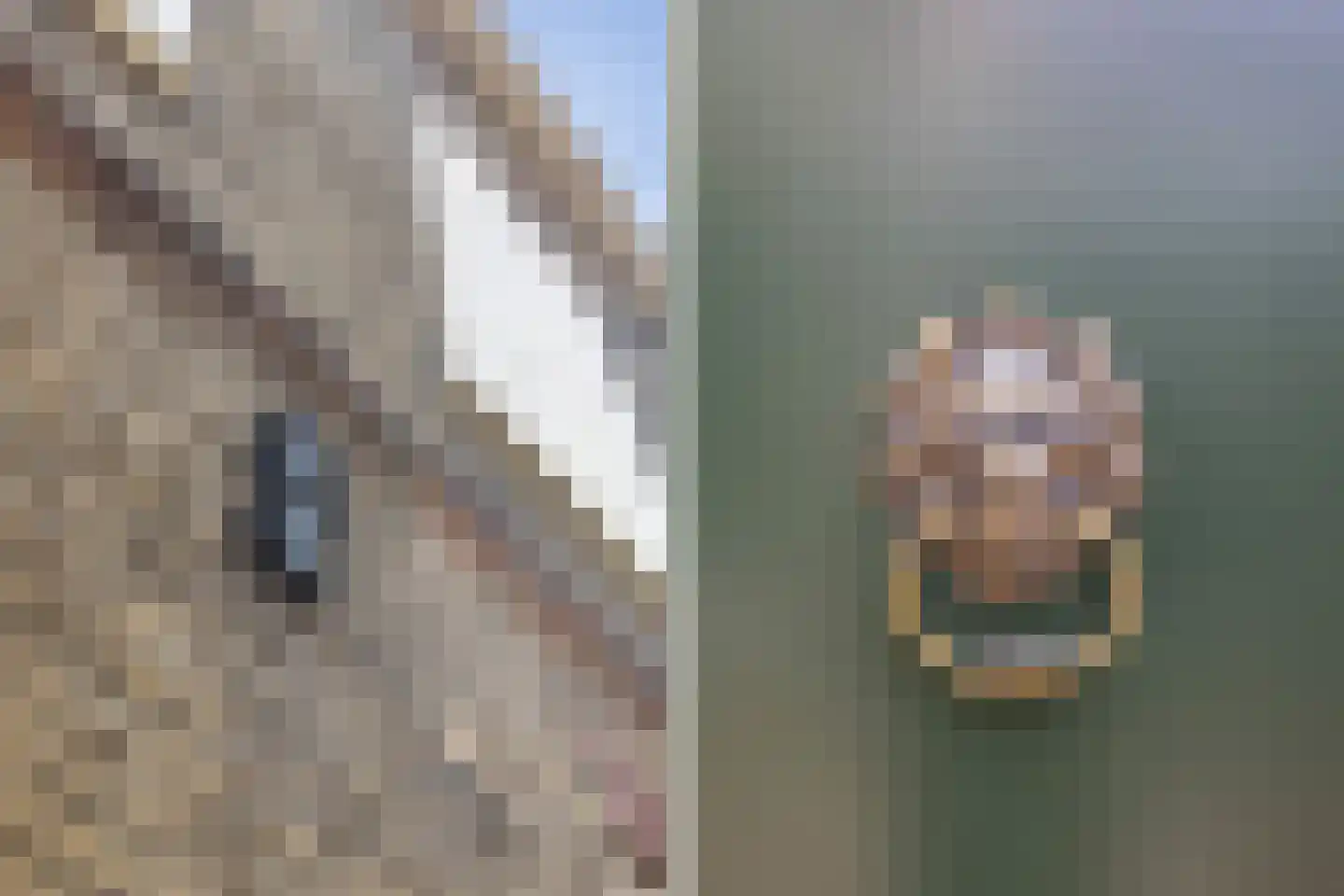 Nieuwe Kerkstraat 4 Maassluis thumbnail 7