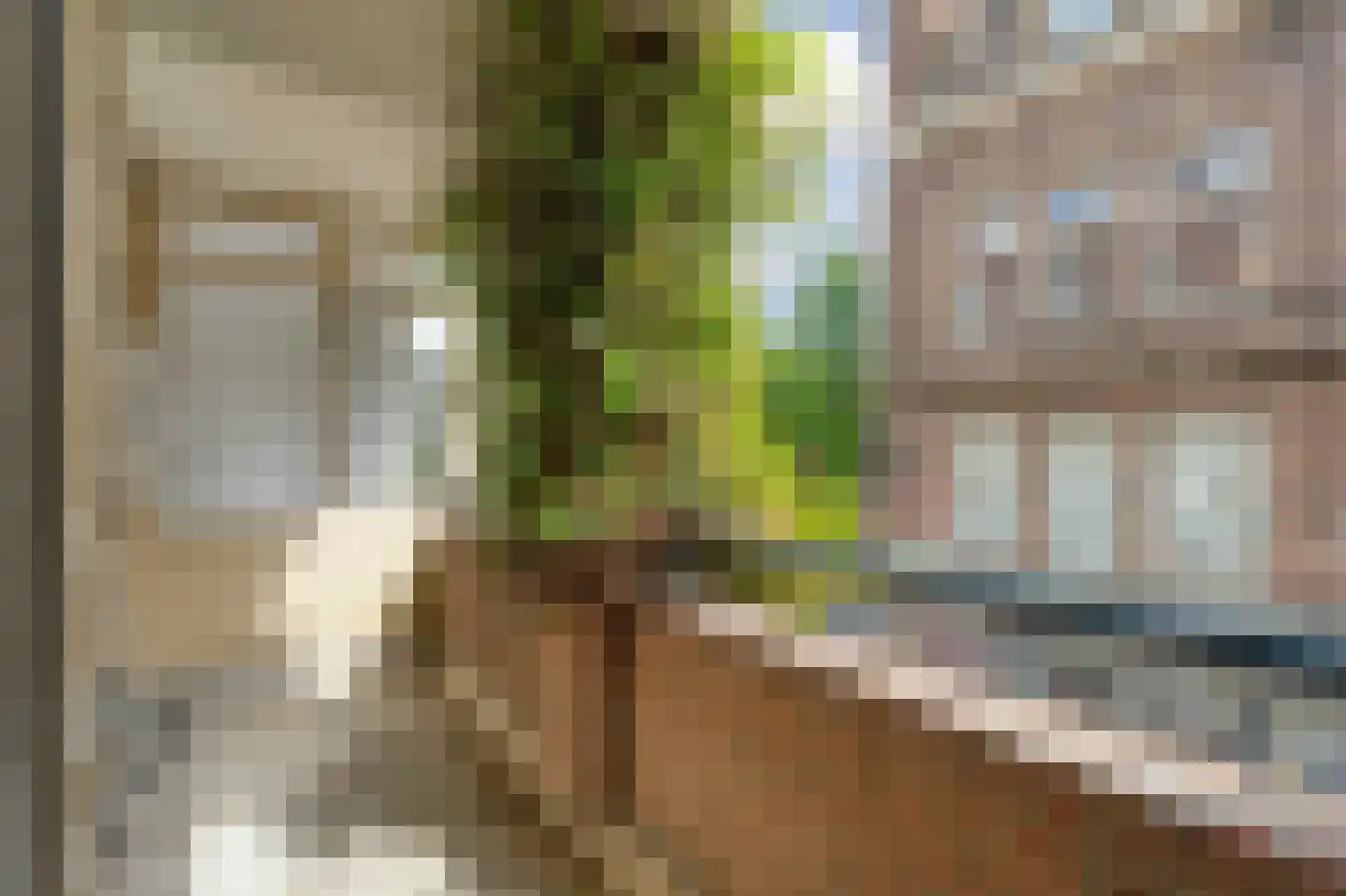 Nieuwe Kerkstraat 407 Amsterdam thumbnail 17