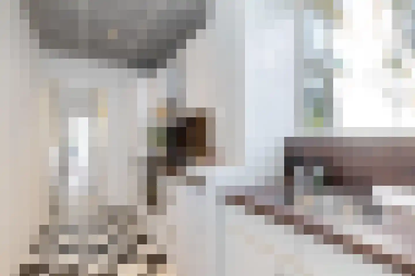Nieuwe Kerkstraat 41 A Rotterdam thumbnail 30