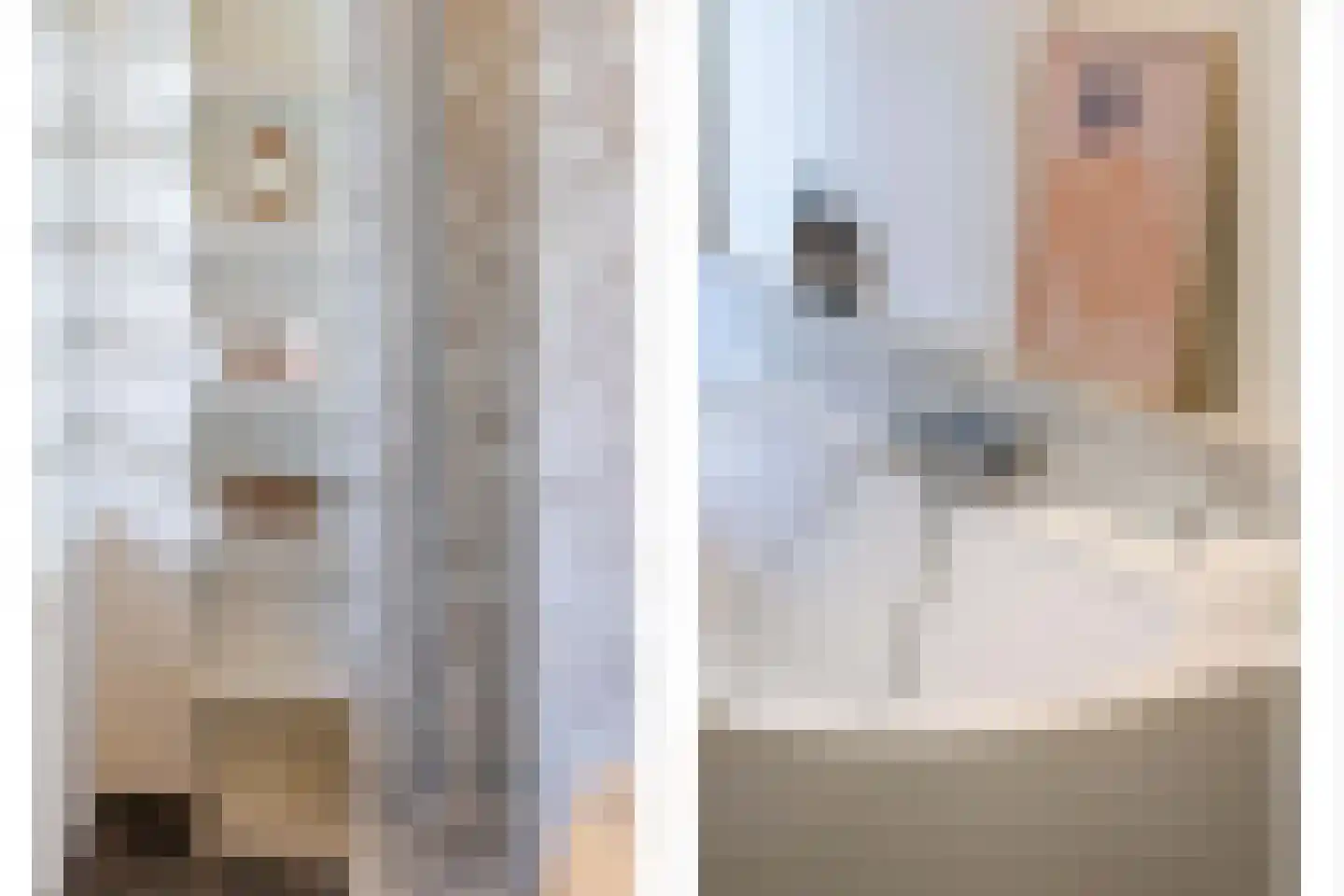 Nieuwe Kerkstraat 41 A Rotterdam thumbnail 36
