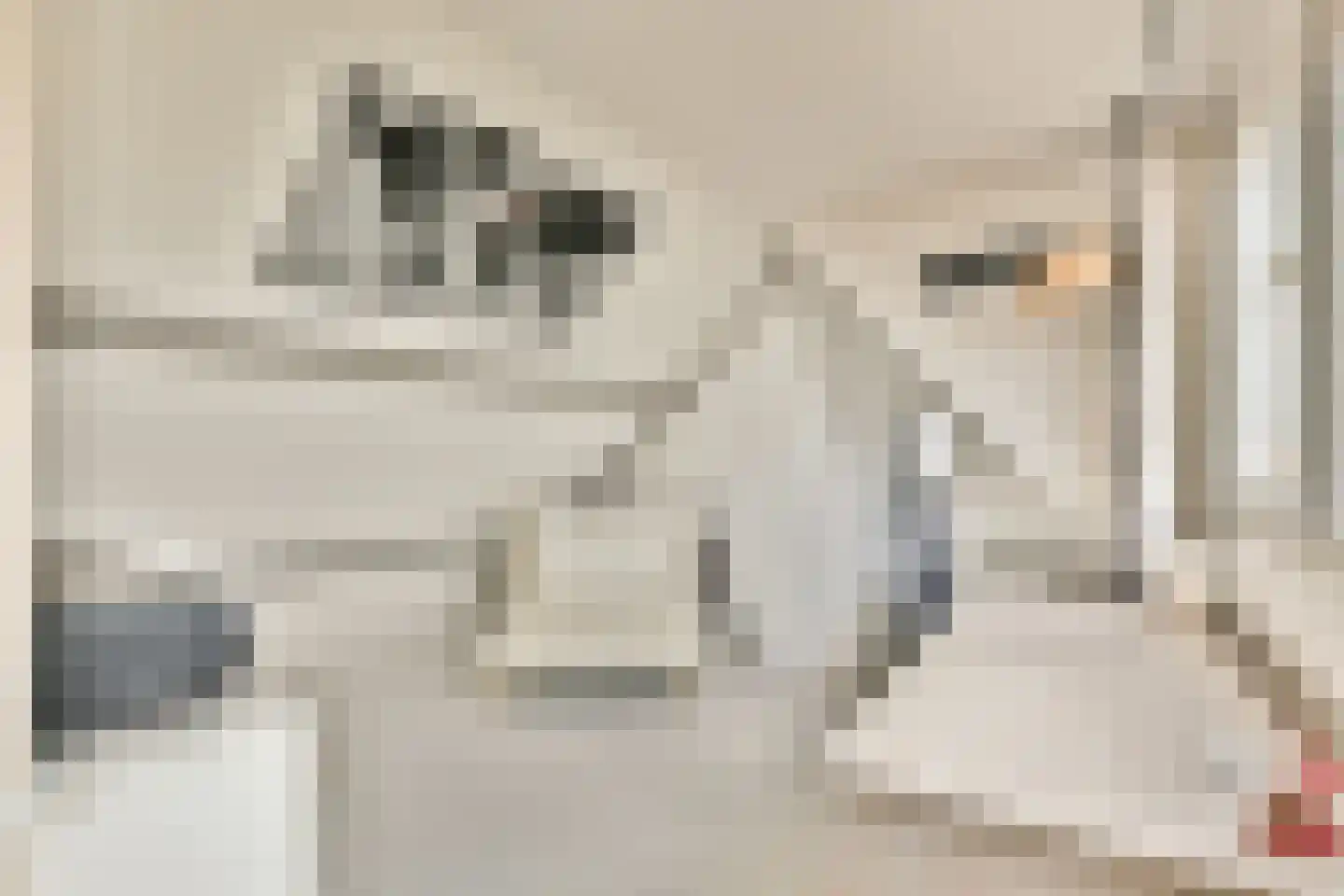 Nieuwe Kerkstraat 42 B Rotterdam thumbnail 21
