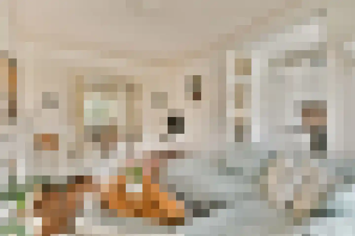 Nieuwe Kerkstraat 42 B Rotterdam thumbnail 6