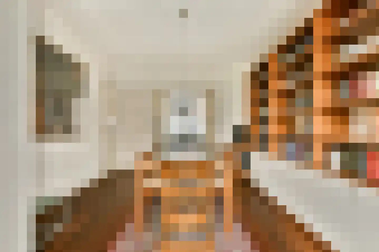 Nieuwe Kerkstraat 42 B Rotterdam thumbnail 9