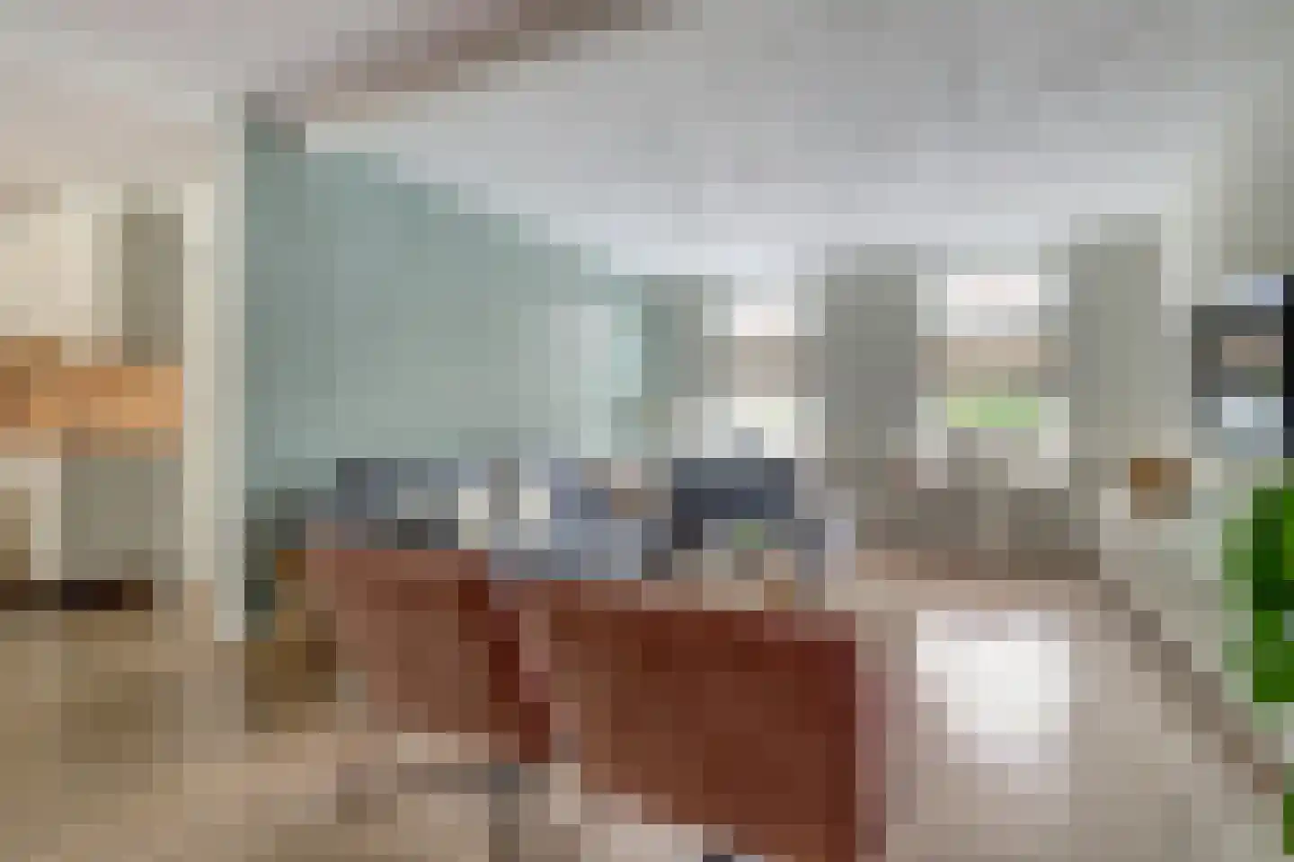 Nieuwe Kerkstraat 47 Kapelle thumbnail 10