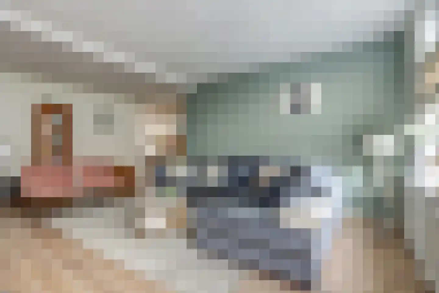 Nieuwe Kerkstraat 47 Kapelle thumbnail 12