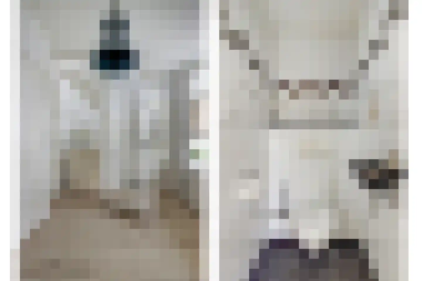 Nieuwe Kerkstraat 47 Kapelle thumbnail 22