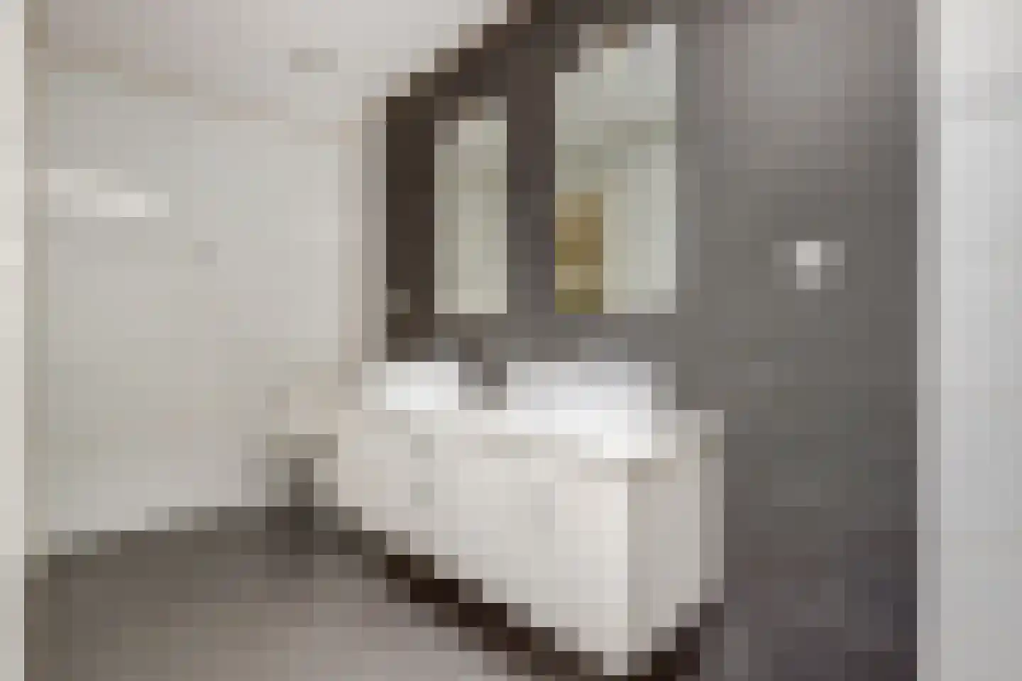 Nieuwe Kerkstraat 47 Kapelle thumbnail 34