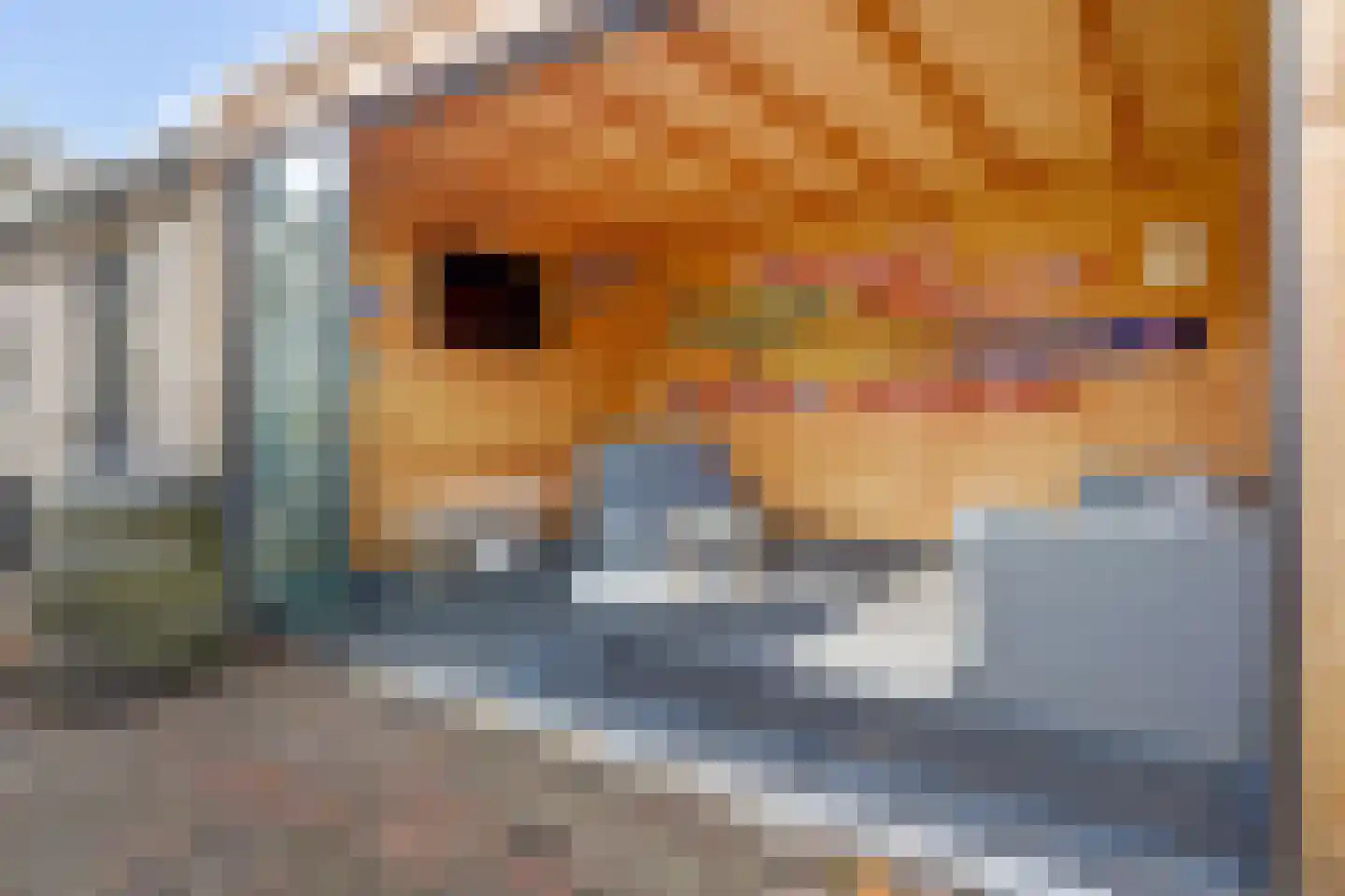 Nieuwe Kerkstraat 47 Kapelle thumbnail 40