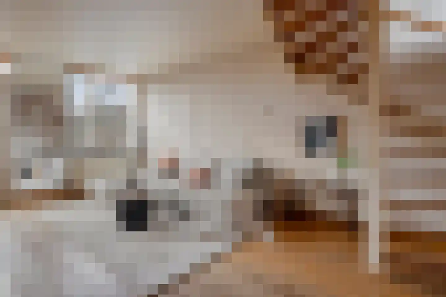 Nieuwe Kerkstraat 473 Amsterdam thumbnail 10