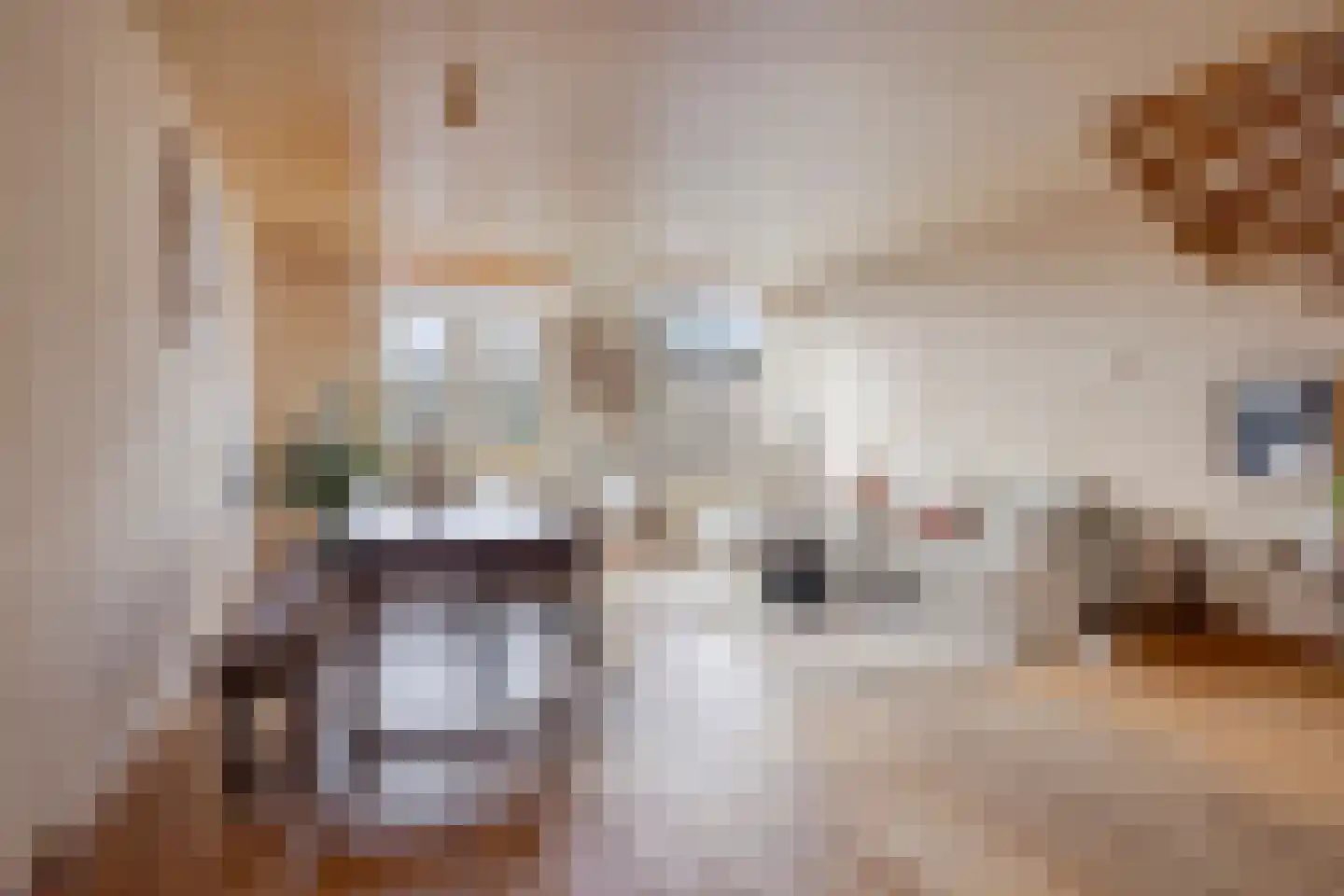 Nieuwe Kerkstraat 473 Amsterdam thumbnail 13