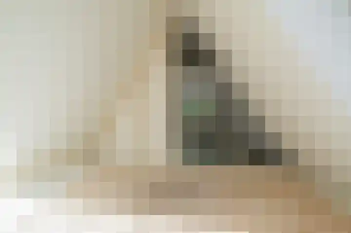 Nieuwe Kerkstraat 48 D Amsterdam thumbnail 17