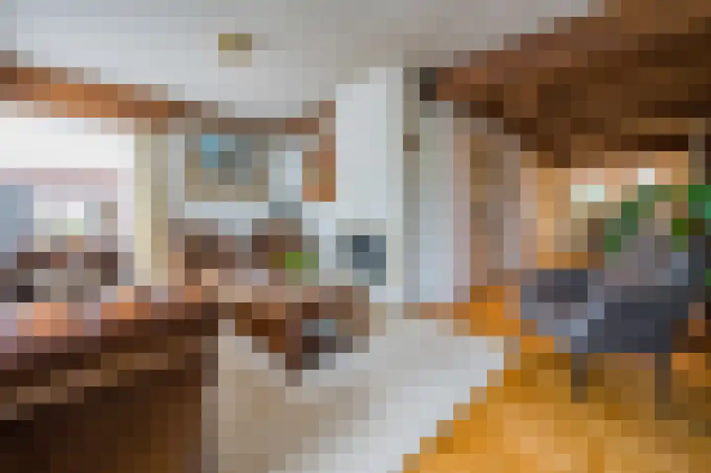 Nieuwe Kerkstraat 53 a Nijkerkerveen thumbnail 10