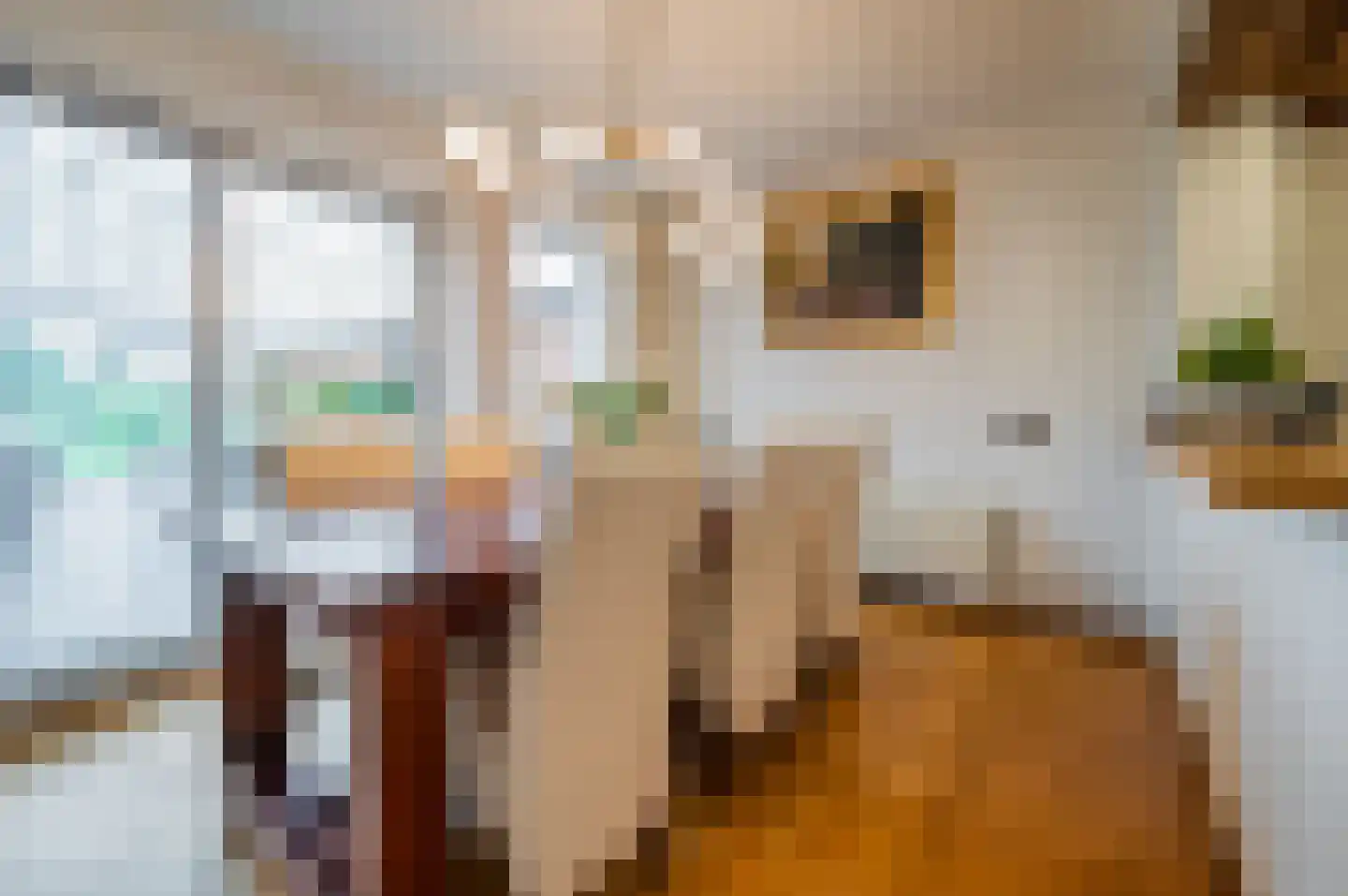 Nieuwe Kerkstraat 53 a Nijkerkerveen thumbnail 13