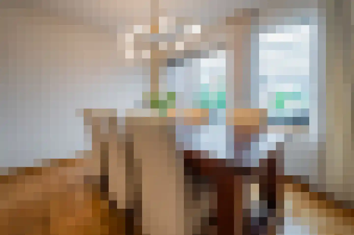 Nieuwe Kerkstraat 53 a Nijkerkerveen thumbnail 14