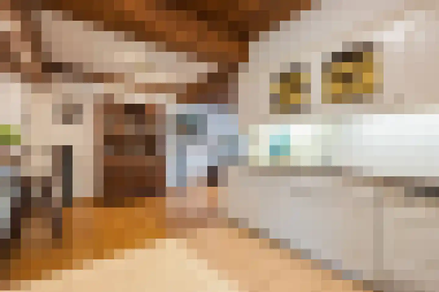 Nieuwe Kerkstraat 53 a Nijkerkerveen thumbnail 15