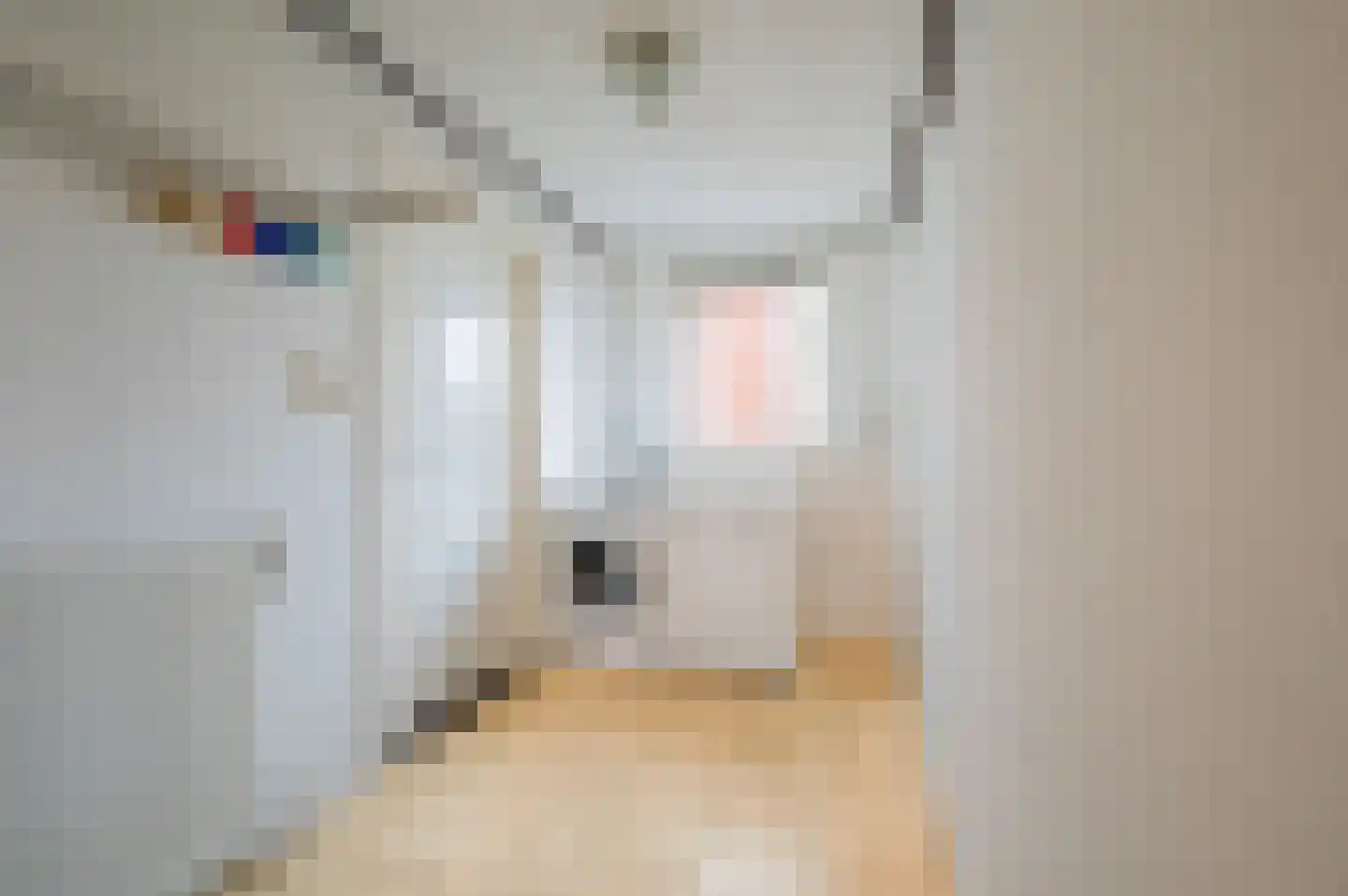 Nieuwe Kerkstraat 53 a Nijkerkerveen thumbnail 21
