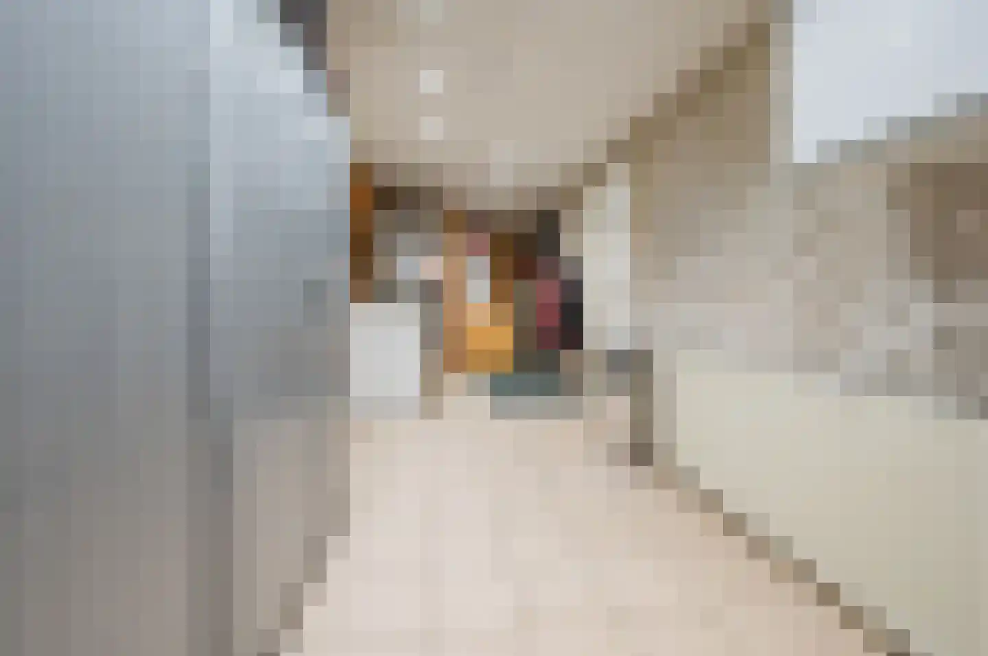 Nieuwe Kerkstraat 53 a Nijkerkerveen thumbnail 23