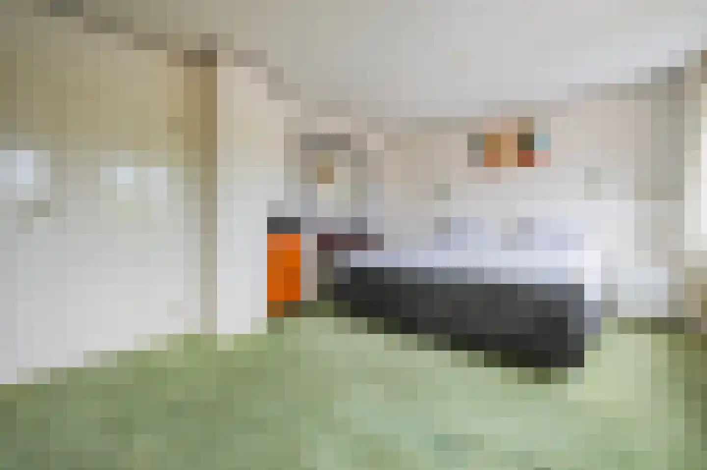 Nieuwe Kerkstraat 53 a Nijkerkerveen thumbnail 28