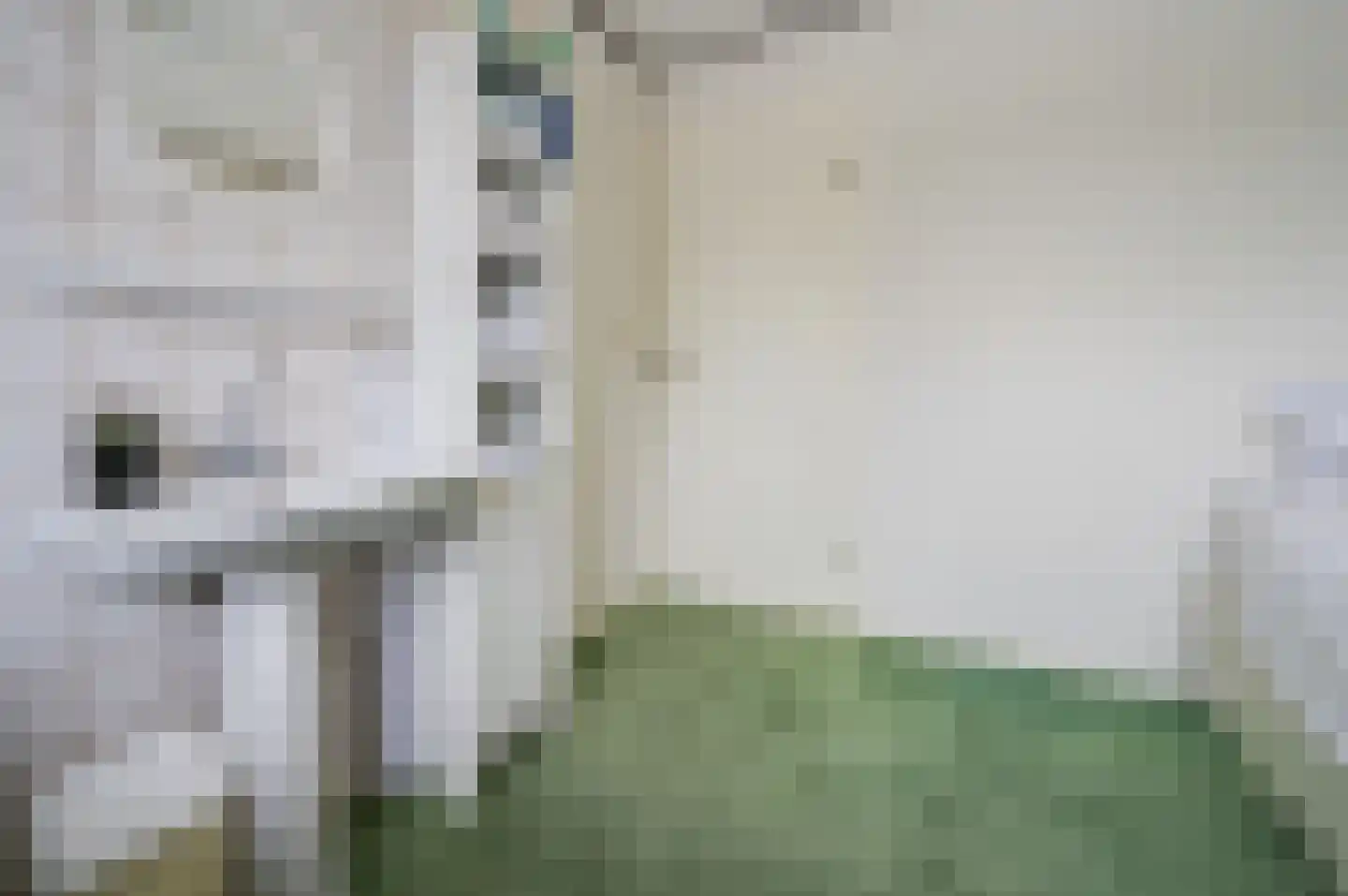 Nieuwe Kerkstraat 53 a Nijkerkerveen thumbnail 31