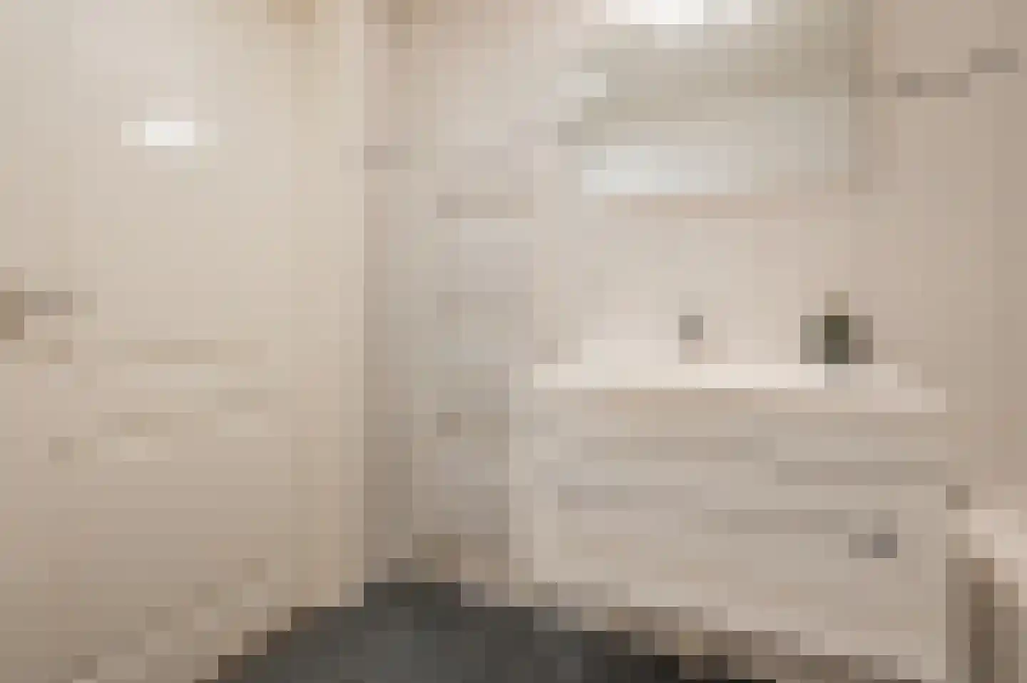 Nieuwe Kerkstraat 53 a Nijkerkerveen thumbnail 35