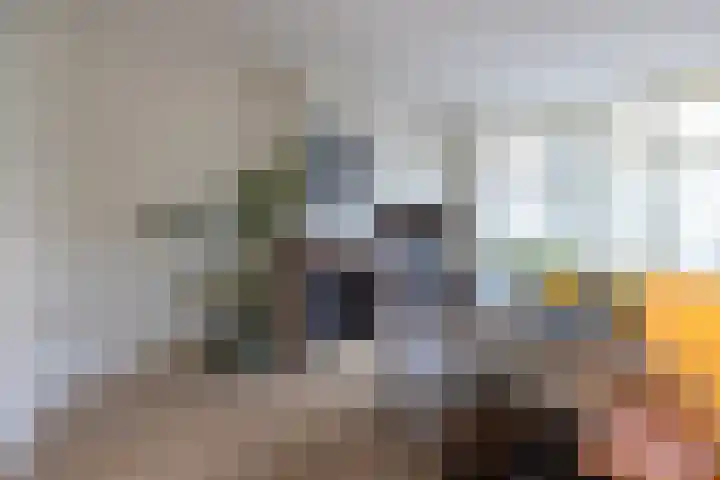 Nieuwe Kerkstraat 55 A Rotterdam thumbnail 8