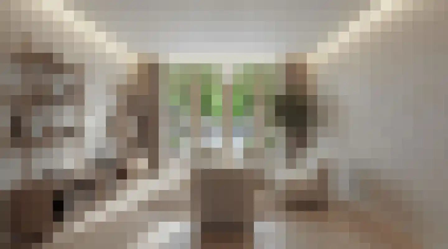 Nieuwe Kerkstraat 6 a Zevenbergen thumbnail 10