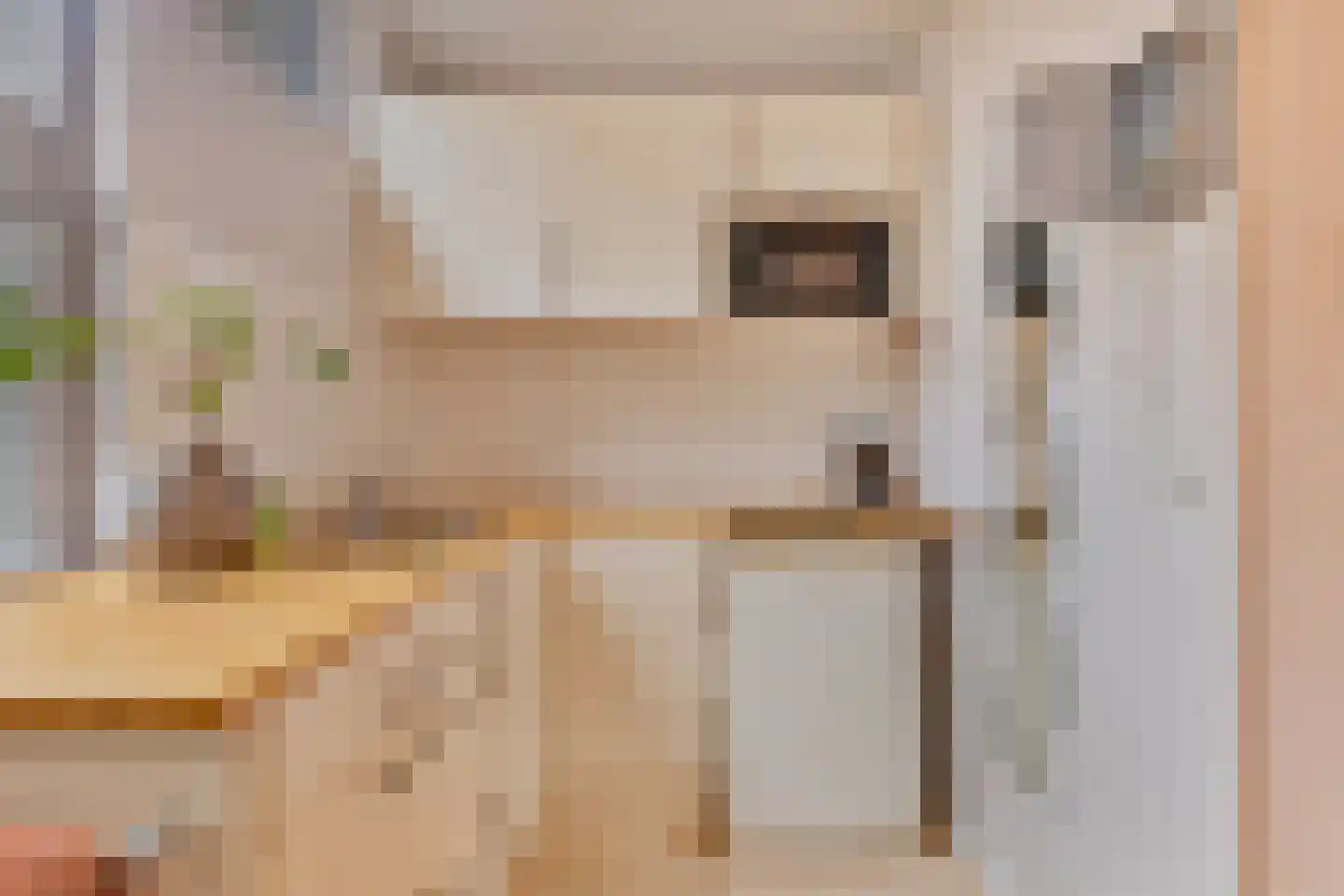 Nieuwe Kerkstraat 6 a Zevenbergen thumbnail 12