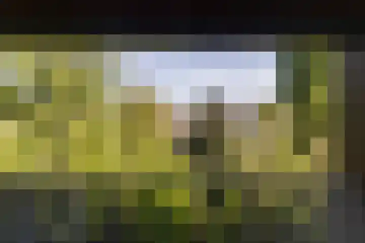 Nieuwe Kerkstraat 61 E Amsterdam thumbnail 24