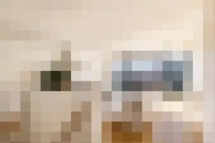 Nieuwe Kerkstraat 61 E Amsterdam thumbnail 8