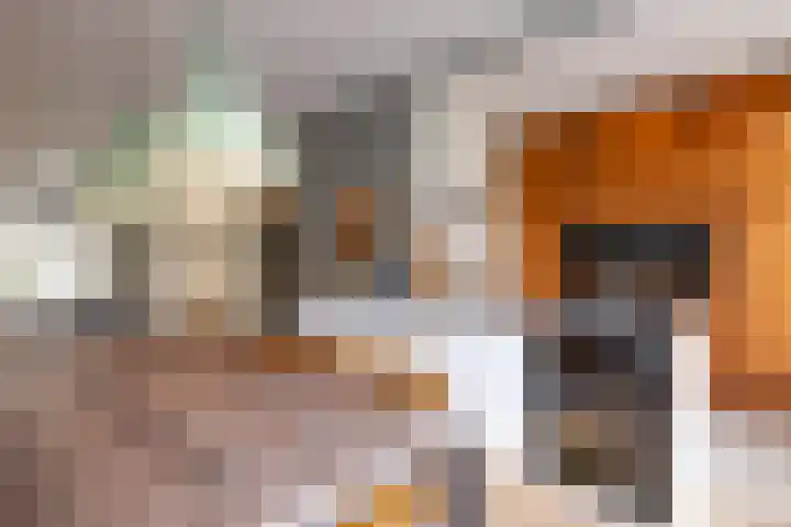 Nieuwe Kerkstraat 64 A Rotterdam thumbnail 14