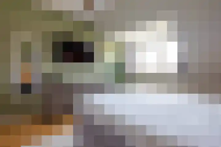 Nieuwe Kerkstraat 64 A Rotterdam thumbnail 20