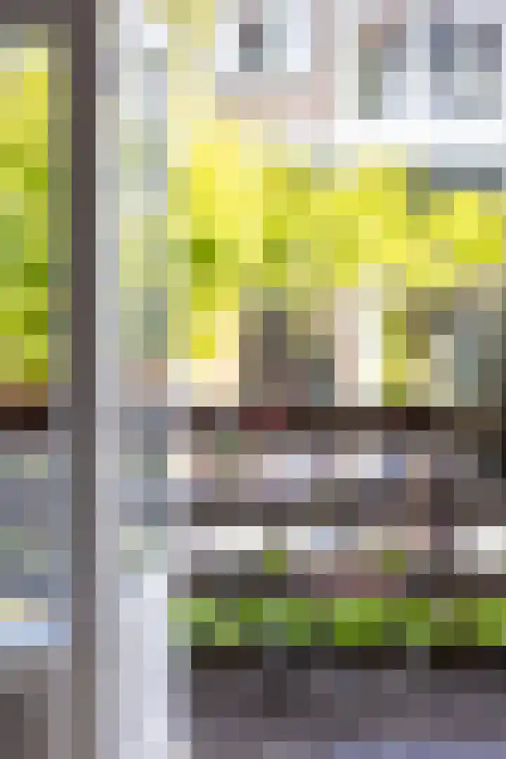 Nieuwe Kerkstraat 64 A Rotterdam thumbnail 33