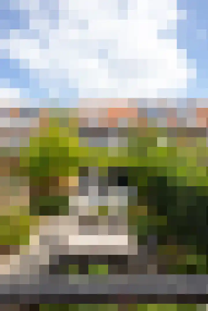 Nieuwe Kerkstraat 64 A Rotterdam thumbnail 36