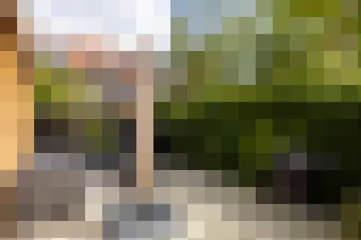 Nieuwe Kerkstraat 64 A Rotterdam thumbnail 40