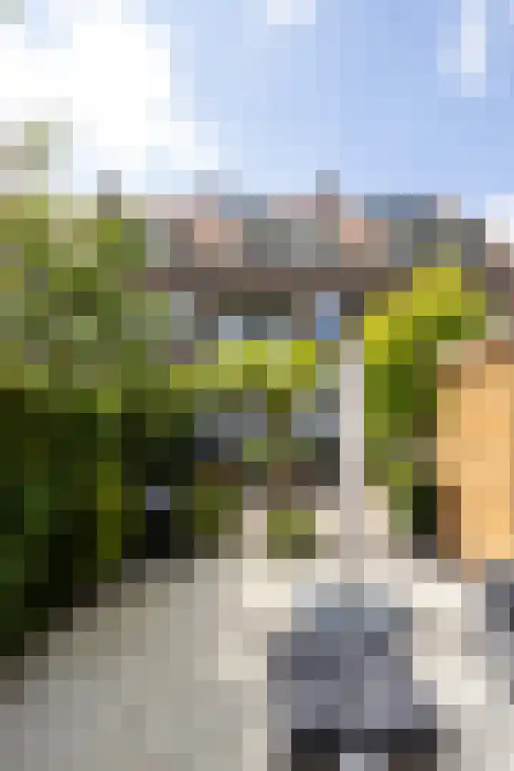 Nieuwe Kerkstraat 64 A Rotterdam thumbnail 42