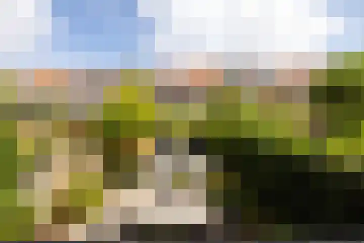 Nieuwe Kerkstraat 64 A Rotterdam thumbnail 5