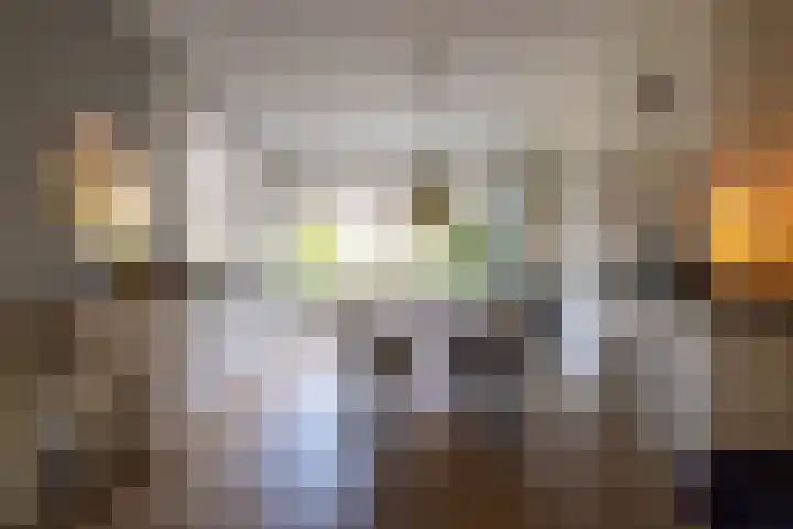 Nieuwe Kerkstraat 64 A Rotterdam thumbnail 8