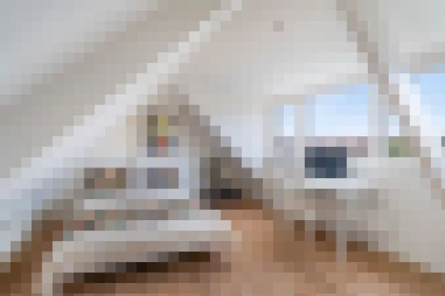 Nieuwe Kerkstraat 67 B Rotterdam thumbnail 14