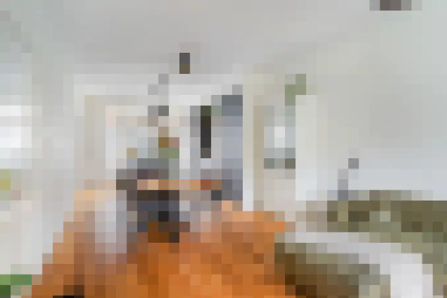 Nieuwe Kerkstraat 67 B Rotterdam thumbnail 25