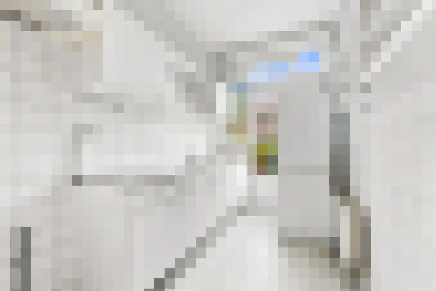 Nieuwe Kerkstraat 69 A Rotterdam thumbnail 13
