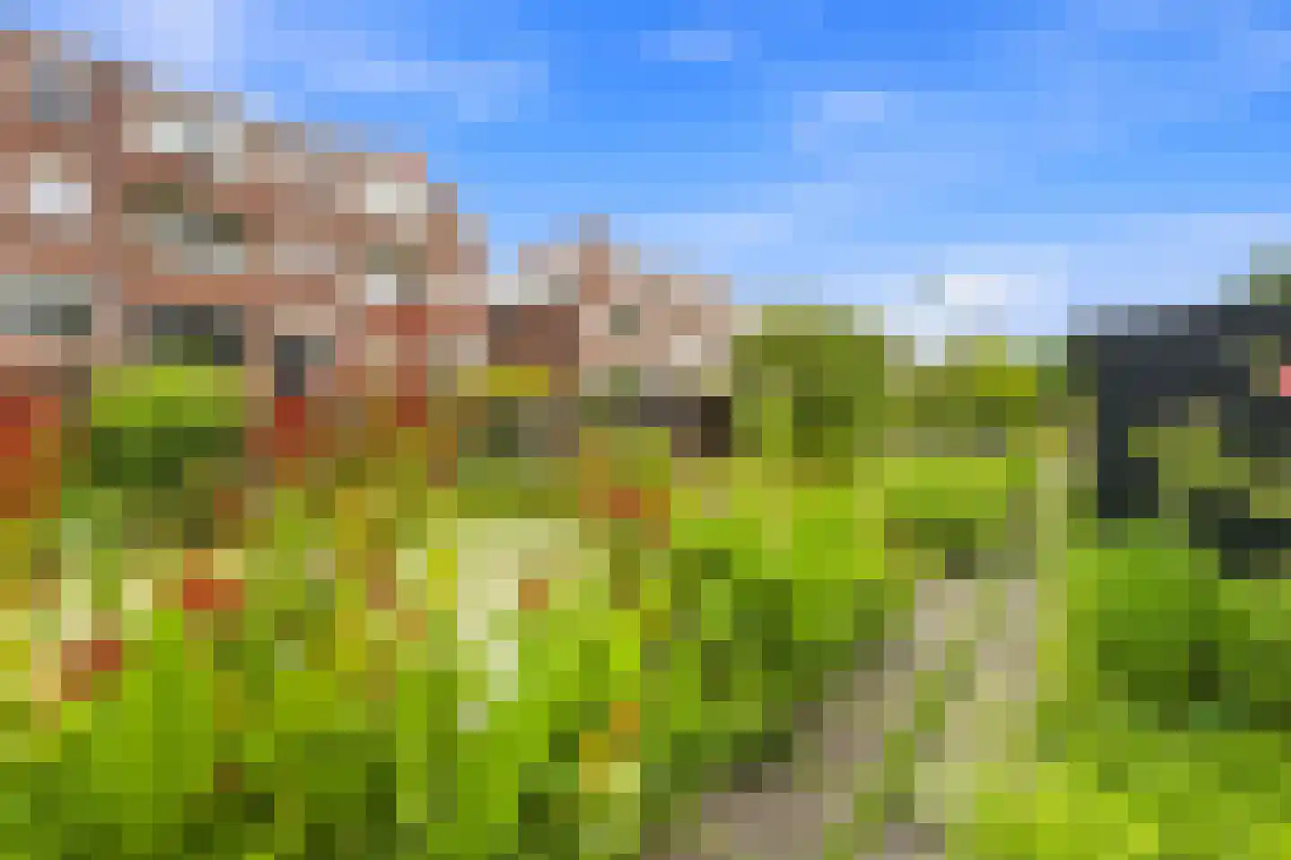 Nieuwe Kerkstraat 69 A Rotterdam thumbnail 31