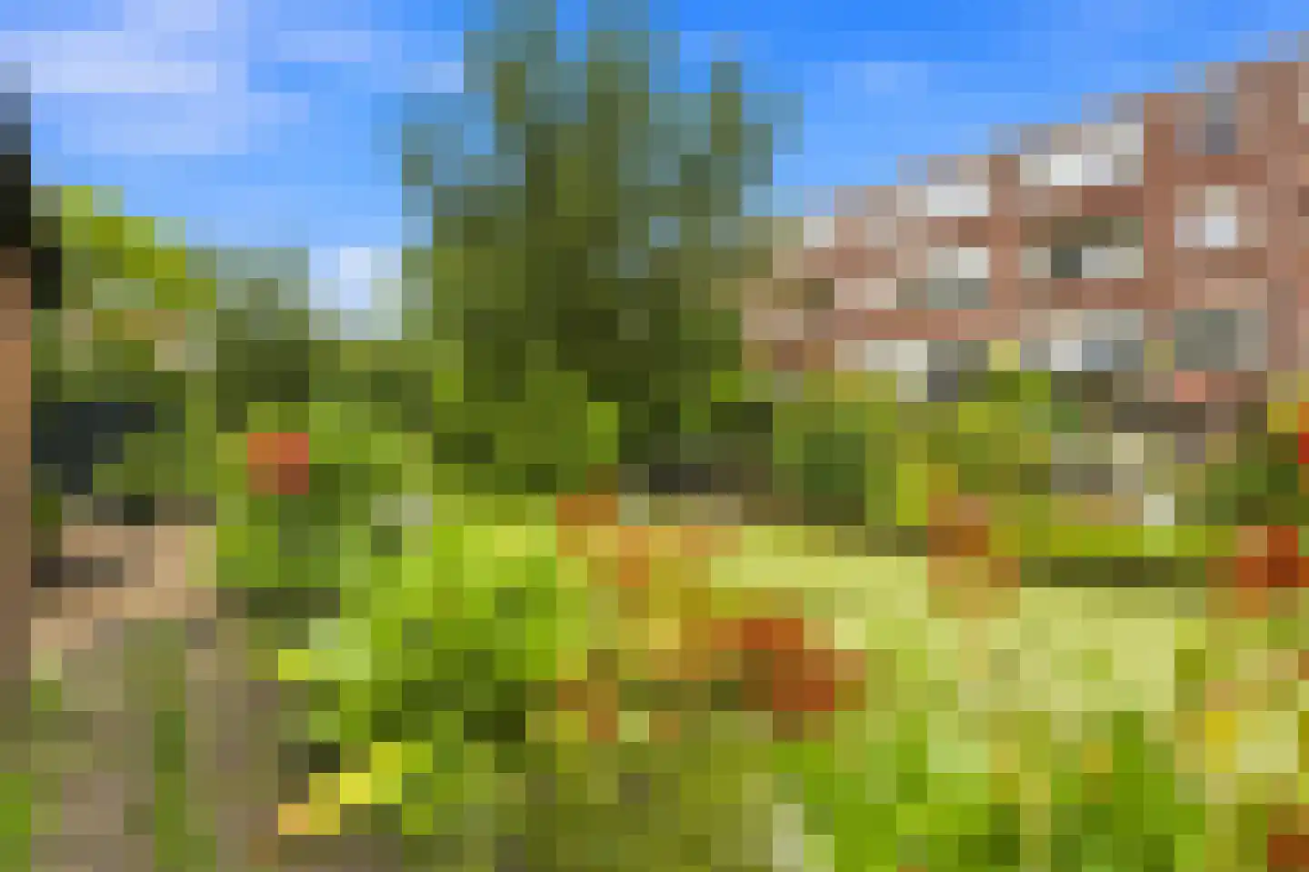 Nieuwe Kerkstraat 69 A Rotterdam thumbnail 32