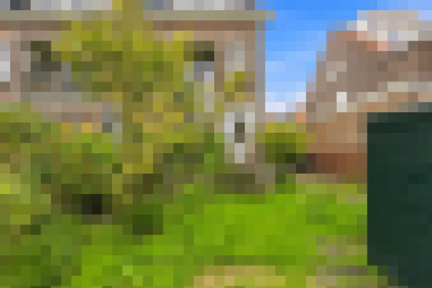 Nieuwe Kerkstraat 69 A Rotterdam thumbnail 33