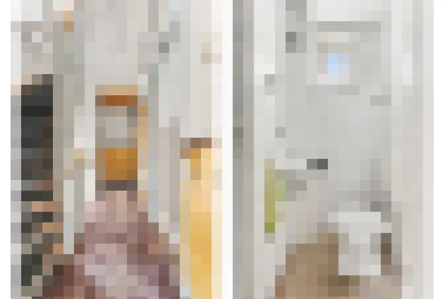 Nieuwe Kerkstraat 69 B Rotterdam thumbnail 23